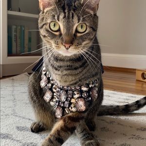 Faux gem Necklace (Cat Not Included)